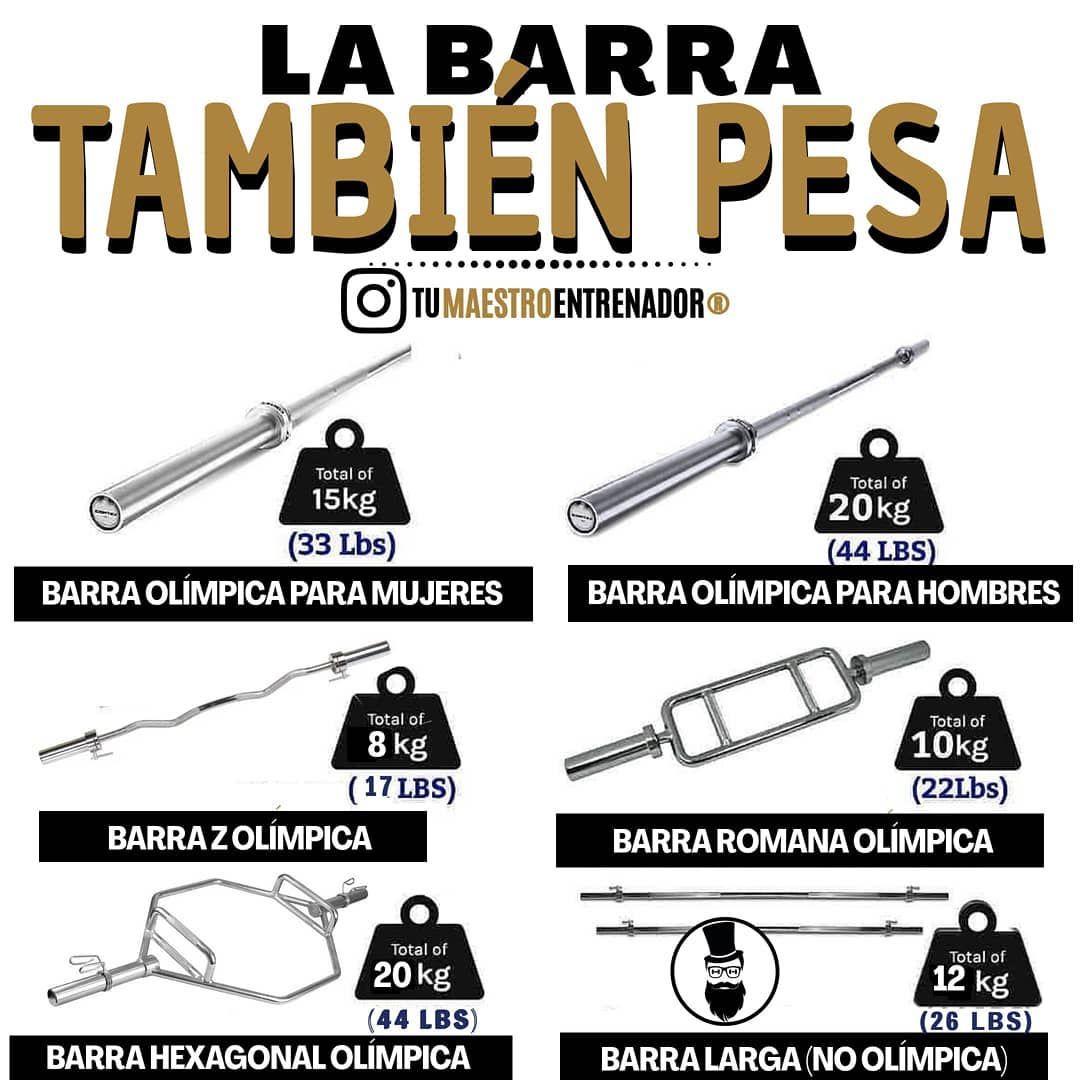Cu nto Pesa Cada Barra De Gimnasio EntrenandoPro garrafa-squeeze-de-gua-com-marcador-tempo-1l-1-litro-top